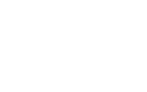NHO Logo