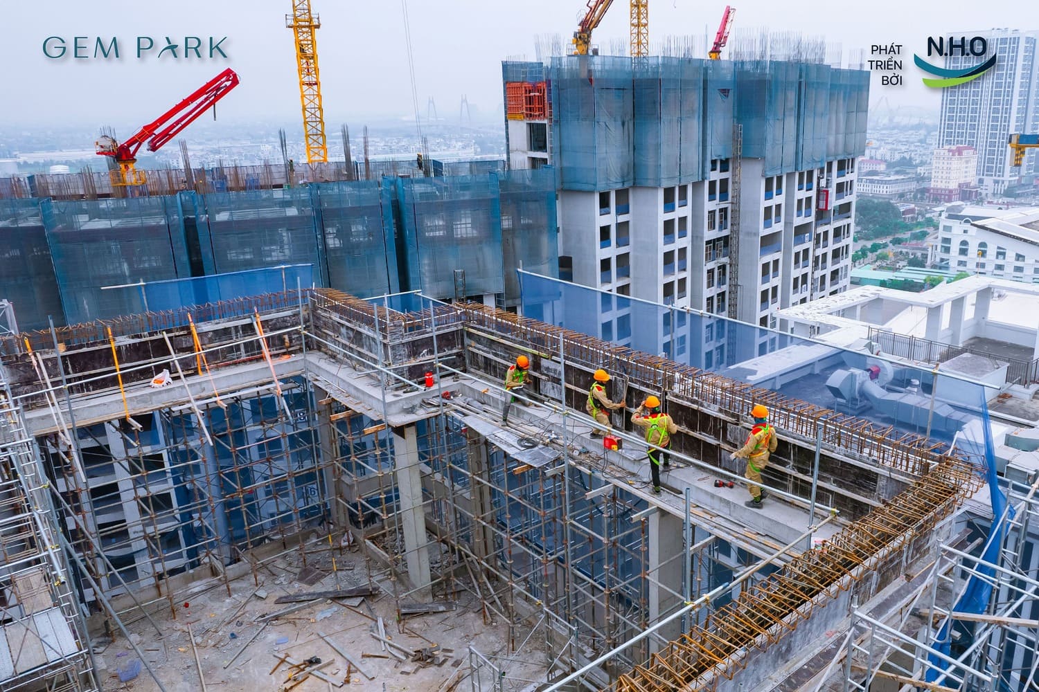 Tiến độ dự án 5